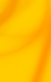 Orange 017